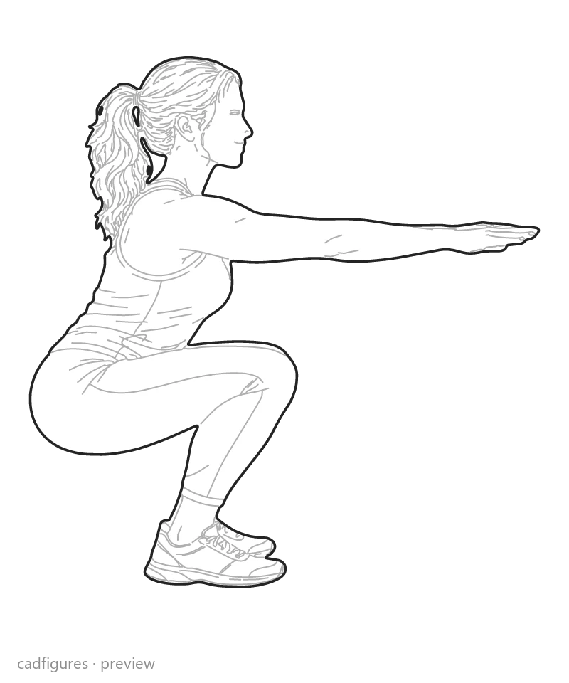 Vista previa: Sentadilla
