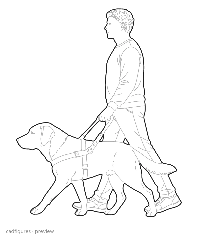 Vista previa: Perro guía acompañando