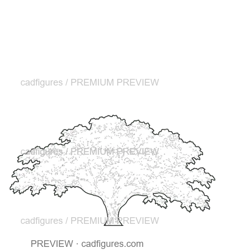 Preview: Flamboyant