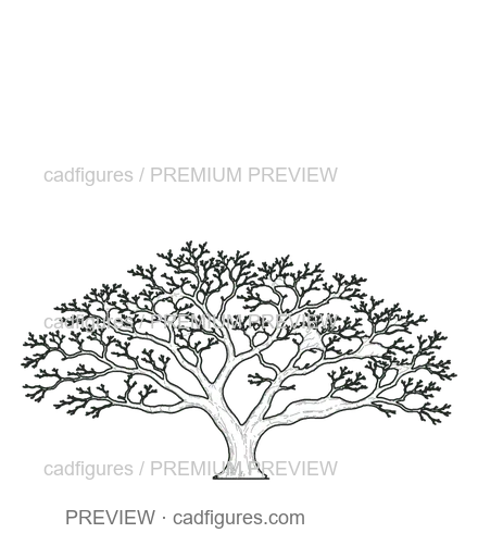 Preview: Flamboyant · winter branches