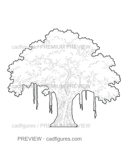 Preview: Banyan
