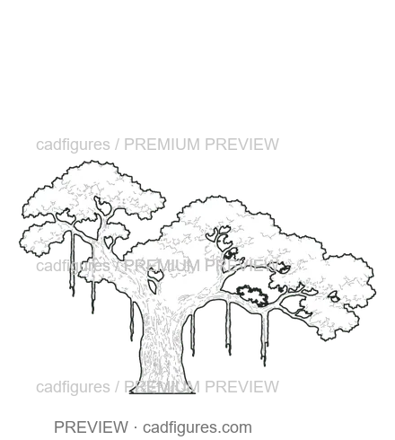Preview: Banyan · open asymmetric crown