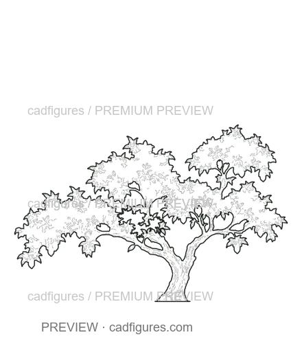 Preview: Lemon tree · open asymmetric crown