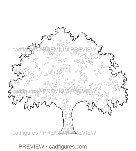 Preview: Apple tree