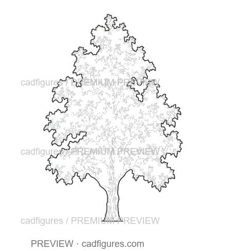 Preview: Pear tree