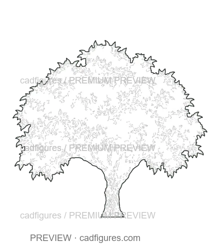 Preview: Orange tree