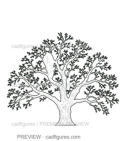 Preview: Sweet chestnut · winter branches