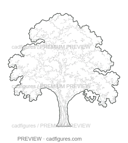 Preview: Horse chestnut