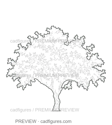 Preview: Crabapple