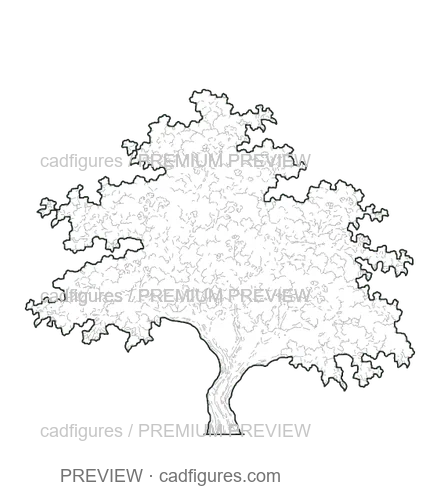 Preview: Crabapple · flowering crown